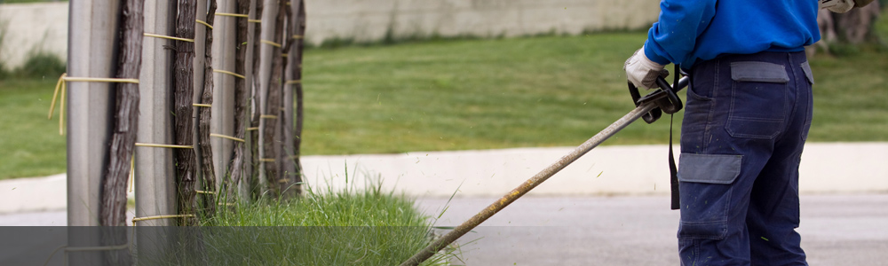 Commercial Grounds Maintenance